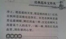 好书推荐作文800字