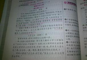环境日记50字