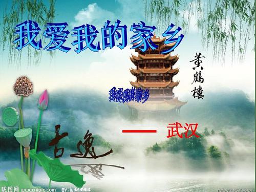我爱我的家乡小学组成