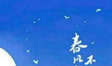 我来自孤独星球读后感