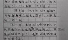 关于实验的作文