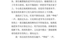 钓鱼作文200字