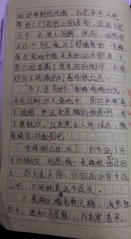 800字的家务作文