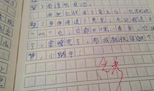 关于日记的作文