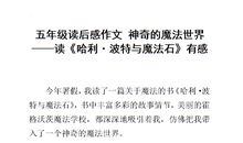 哈利波特读后感100字