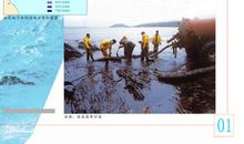 海洋科普知识读后感