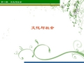 看完北平狼烟后的感觉