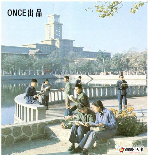 夏雨的作文