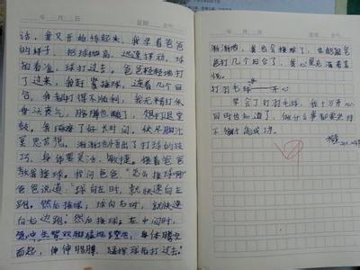 六年级打羽毛球