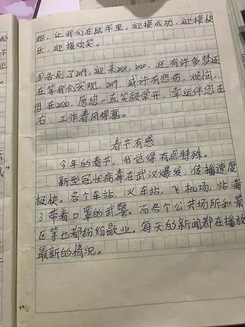 我长大的六年级作文