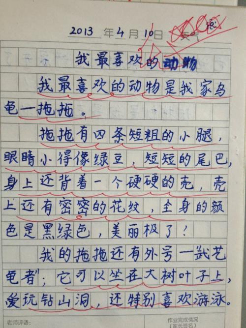写动物日记