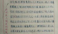 我的家乡作文300字