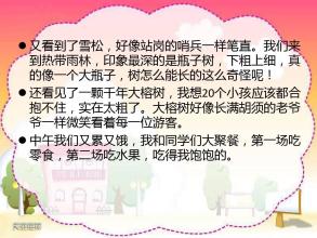 参观旅行记录组成