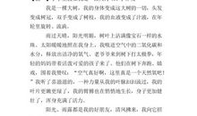 假如我是一只鸟400字