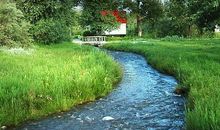 我爱家乡的小溪作文