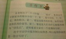 生活中的见闻作文400字