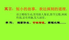 郑人买履读后感