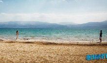 脱轨时代观后感