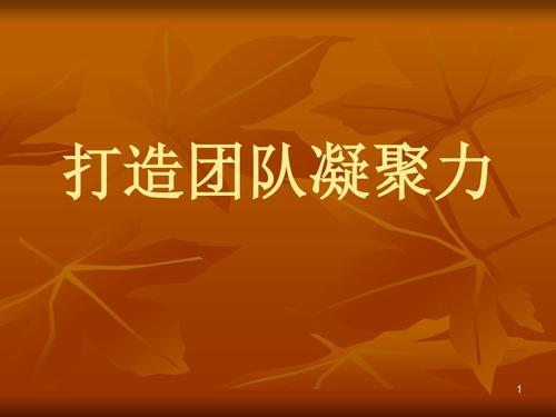 团队凝聚力