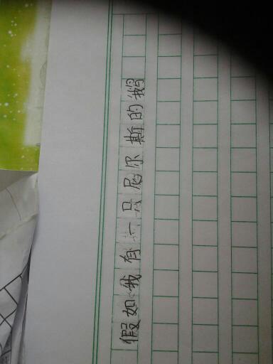 如果我是鸟600字