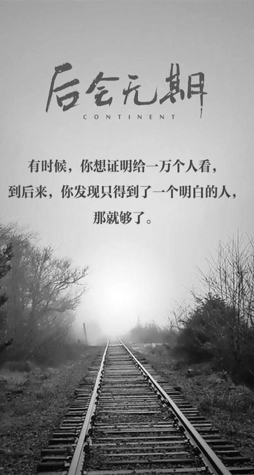 没有电影评论