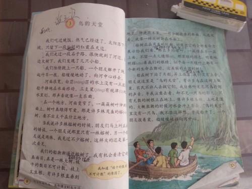 如果我是鸟儿