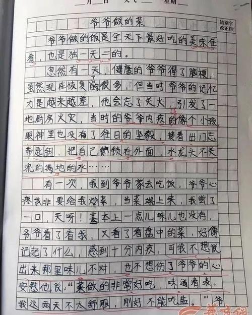 关于小学生
