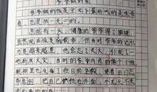 关于小学生感动作文