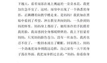 五年级作文我的妈妈