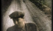 鸡蛋的胜利读后感