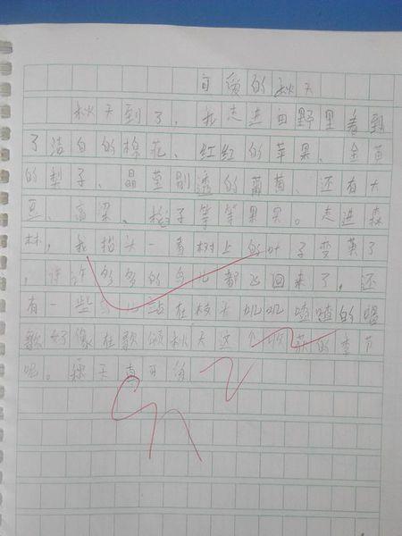 六年级作文秋天在这里