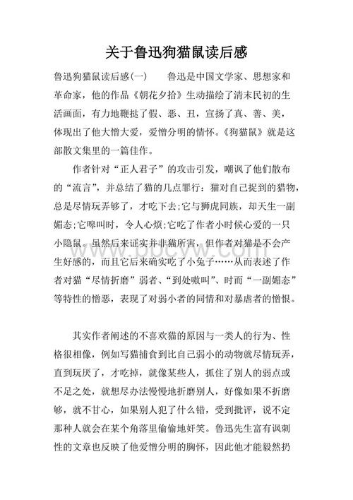 阅读后800字