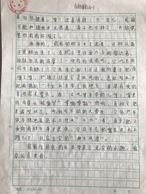我尊重的构图