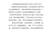 描写迎春花开放的作文