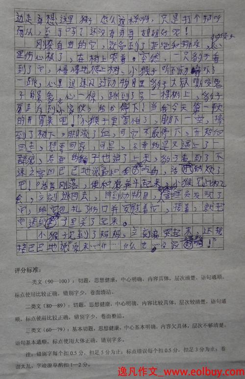 感受成功构图500字