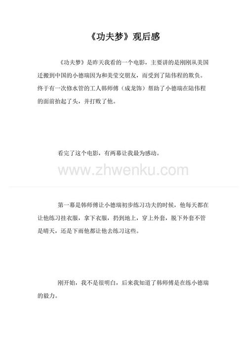 功夫梦