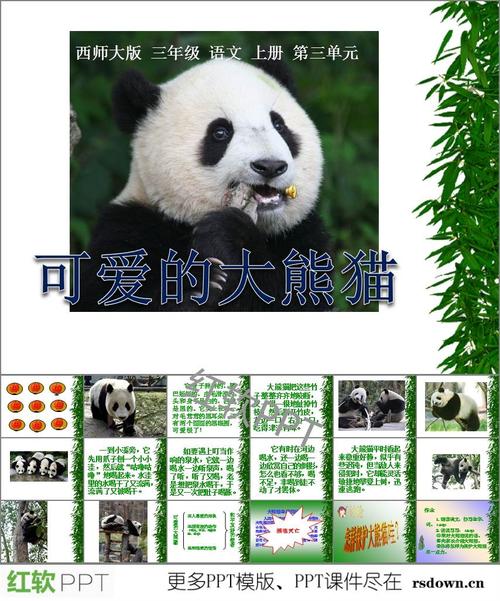 描述熊猫外观的成分