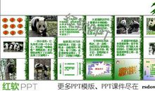 描写熊猫外形的作文