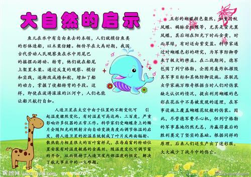 大自然的启示