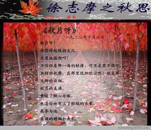 天津沙秋丝扩展200字