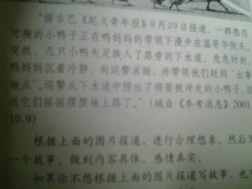去钓鱼的组成