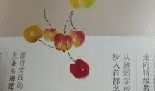 给青年教师的建议读后感