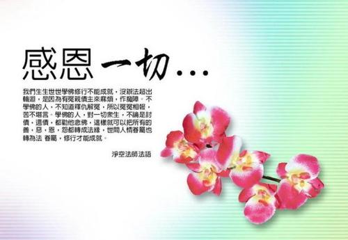 感谢大自然
