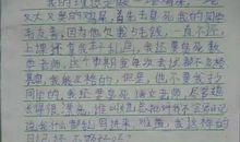 写我的同桌的作文