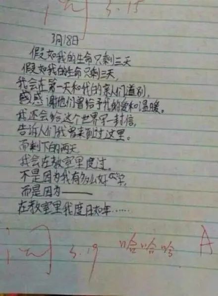 如果我是小学生作文