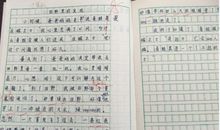 瞧我们这个班初中作文