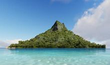 蓝色天堂的读后感