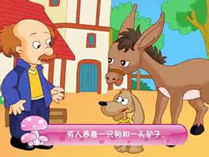 养小狗的组成