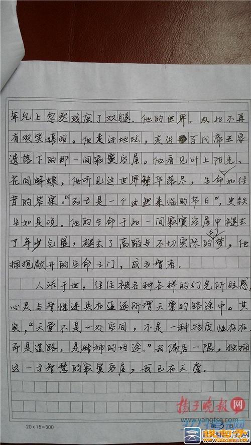 2015年高考全科目组成上海卷大全