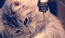 频频回忆的人，哪里走得了远路